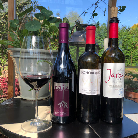 Chink in my armour: Ribera Del Duero