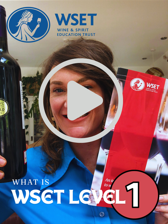 What is a WSET Level 1 in Wines course?