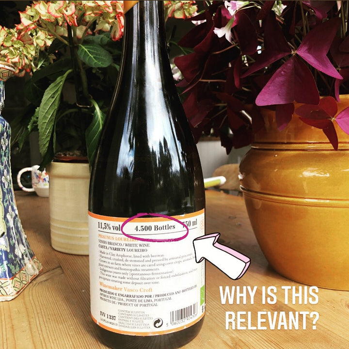 Wine production size - does it matter?