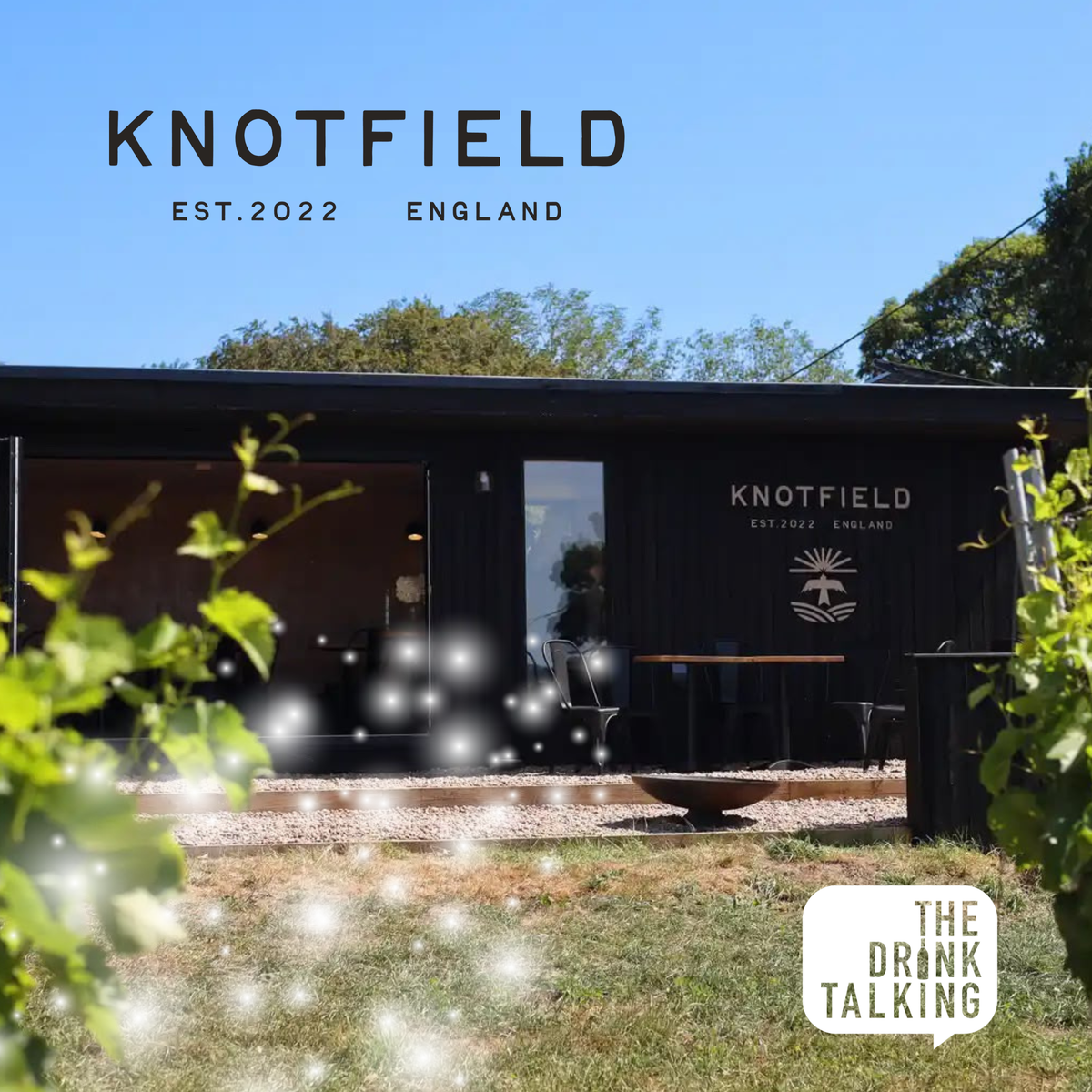 Christmas Wine Tasting at Knotfield Vines - December 2026 | Leeds, Yorkshire