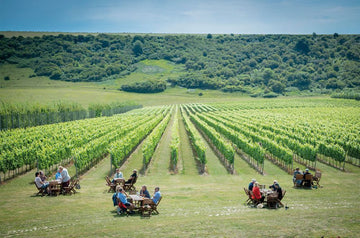 This is England - English wine and cheese tasting Saltaire Thursday 13th June 2024